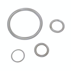 New products :canted coils spring Bal spring